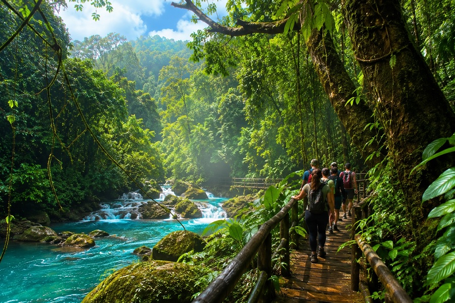 Rainforest Ecotourism